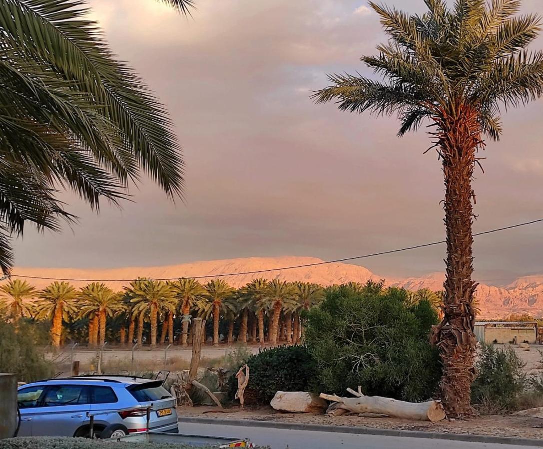 Belfer'S Dead Sea Cabins Neot HaKikar Exteriér fotografie
